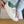 Sneakers – Patternmaking and Shoemaking Video Course