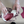 Dyed Oxford – Shoemaking Video Course