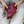 Dyed Oxford – Shoemaking Video Course