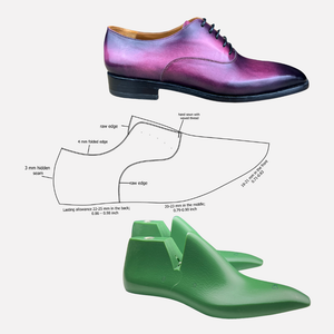 Purple dress shoe with a diagram of shoe construction and a green shoe form on a white background
