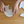 Dyed Oxford – Shoemaking Video Course