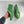 SHOE LAST MEN